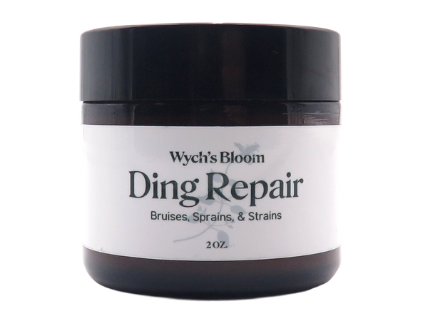 ding repair